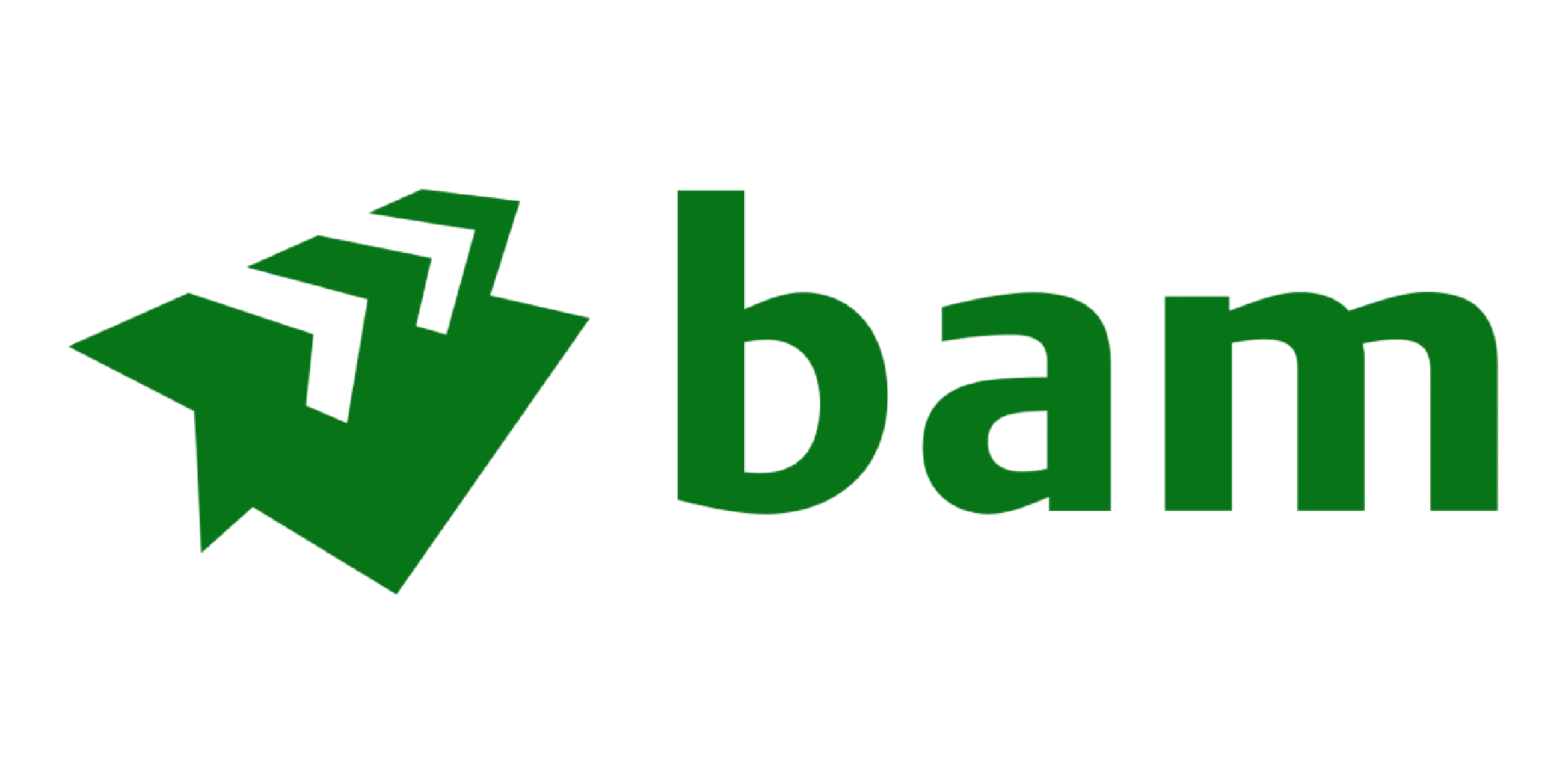 BAM